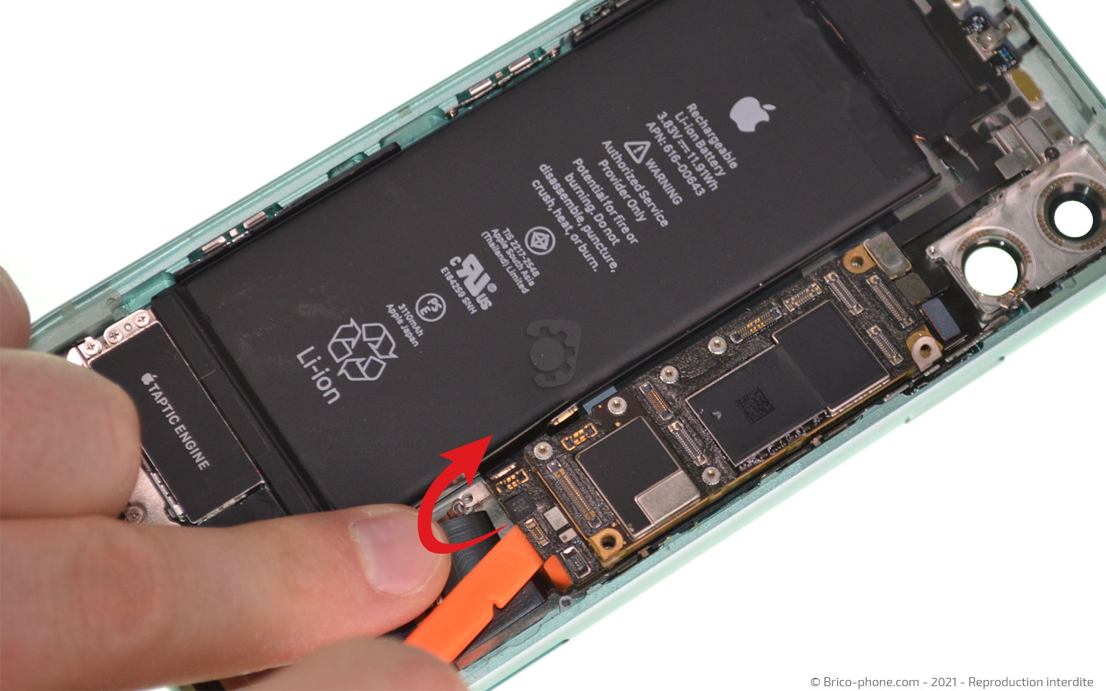 Changement de la coque arrière sur iPhone 11 photo 3