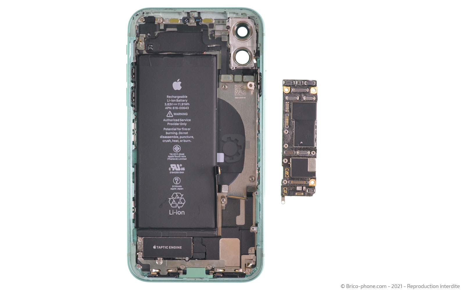 Changement de la coque arrière sur iPhone 11 photo 4