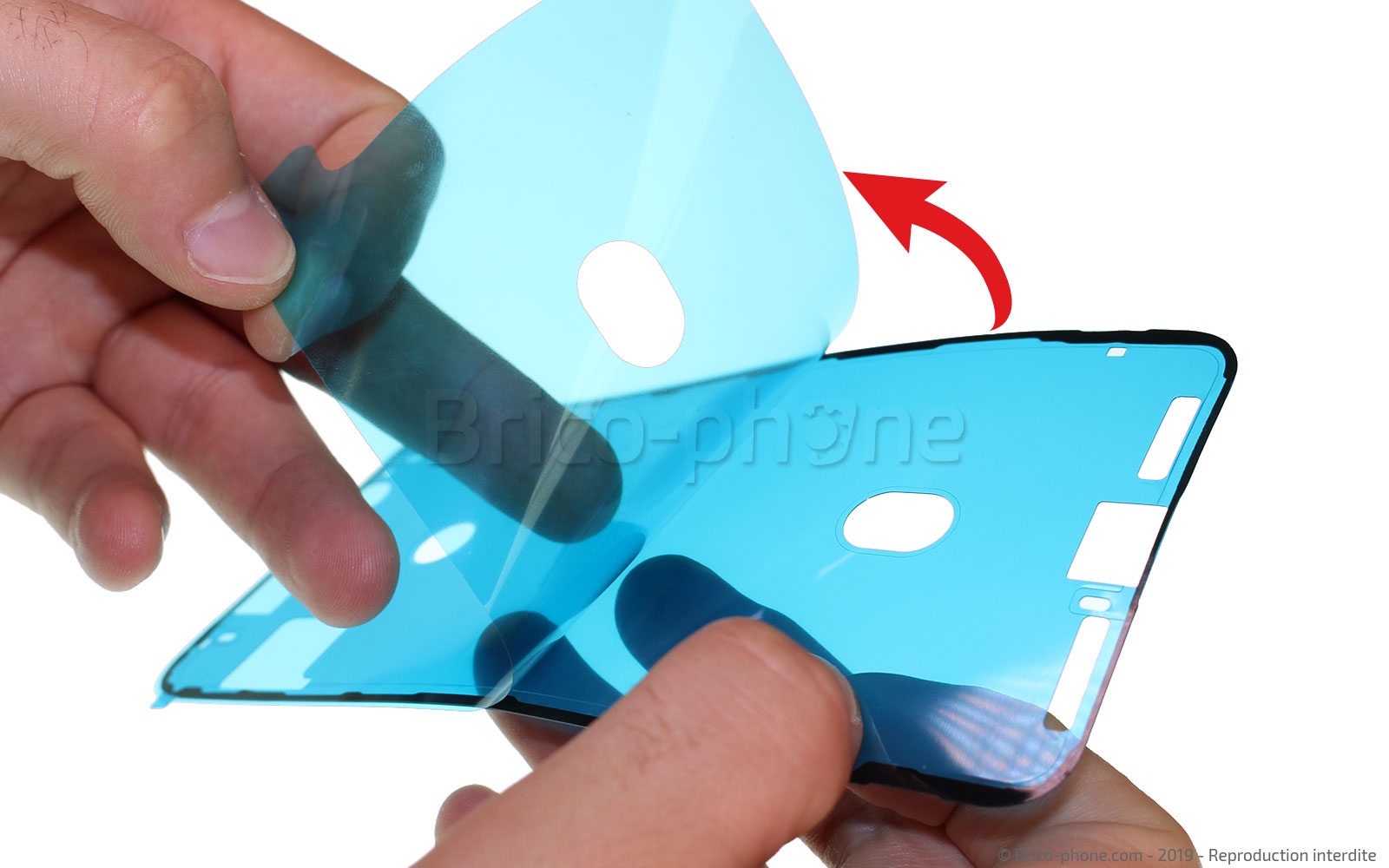 Changement de la coque arrière sur iPhone 11 Pro photo 1