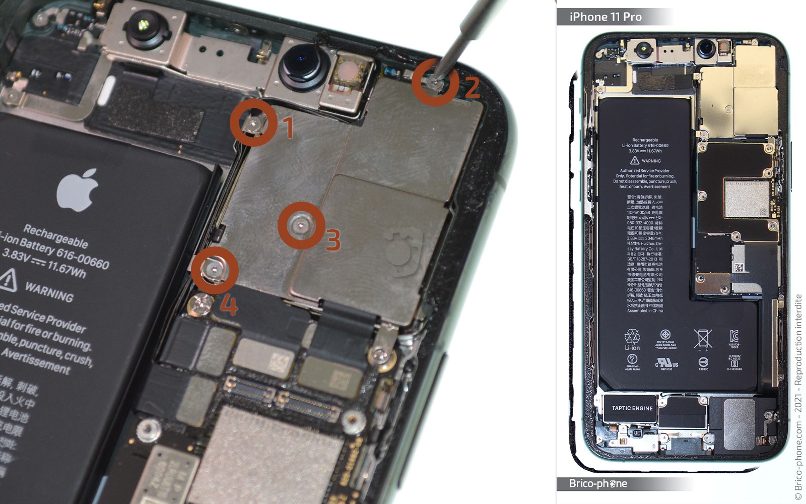 Changement de la coque arrière sur iPhone 11 Pro photo 1